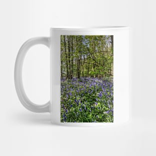 Bluebells Everdon Stubbs Wood Mug